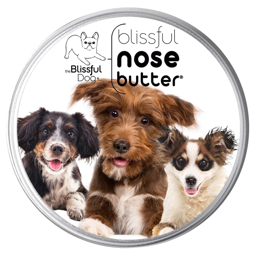 3 Cute Puppies Nose Butter