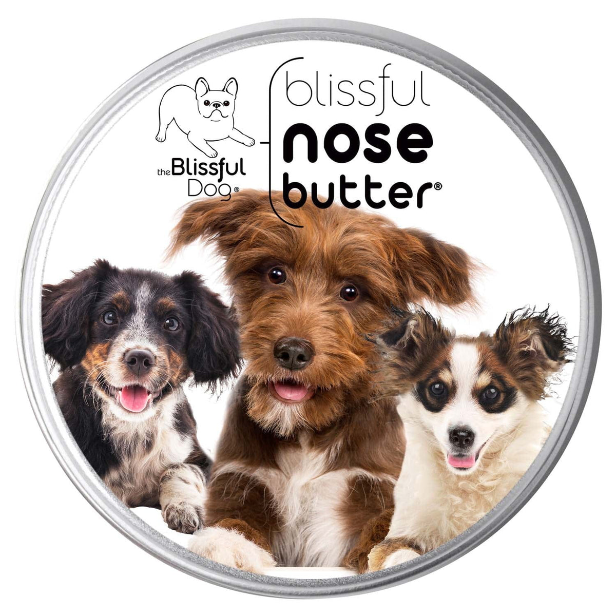 3 Cute Puppies Nose Butter