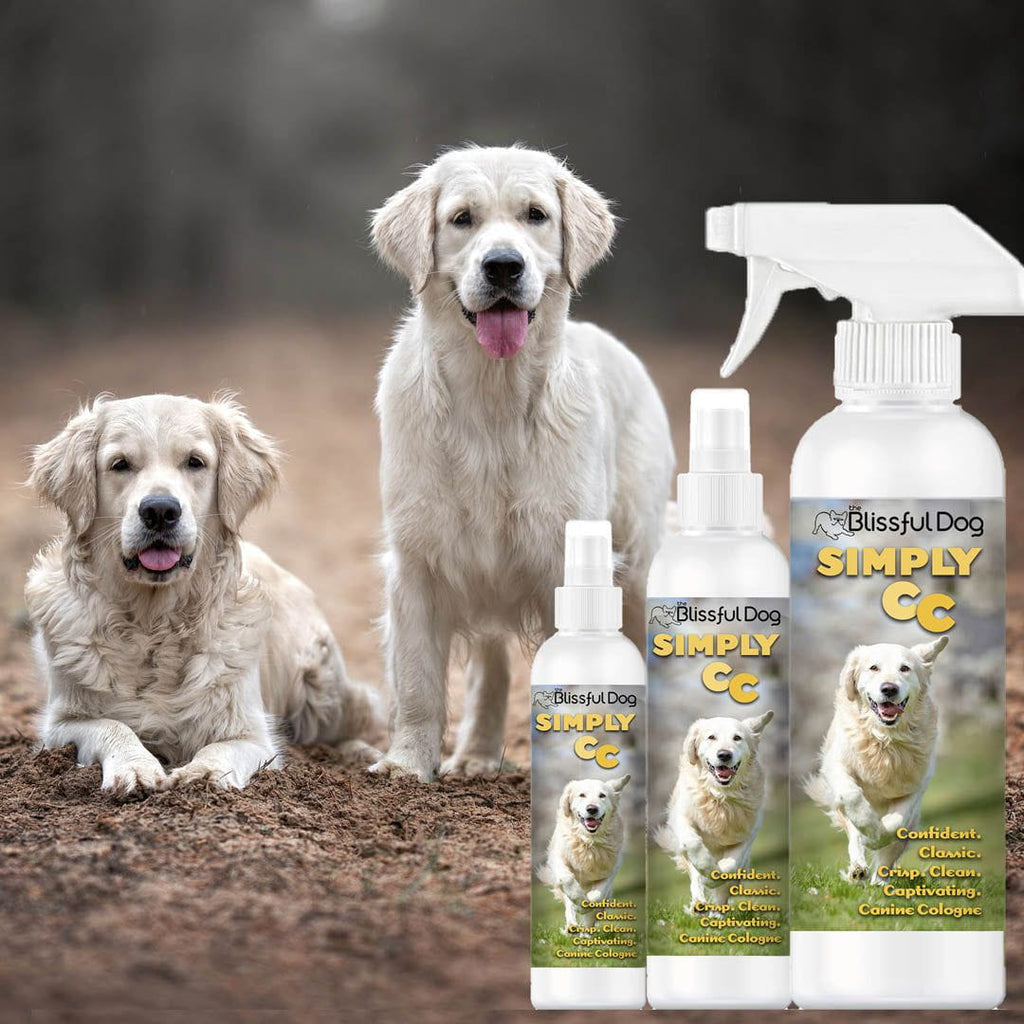 Simply CC Dog Cologne for the Classically Confident Canine