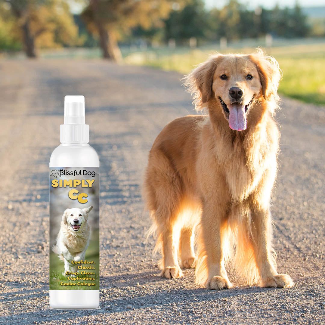 Simply CC Dog Cologne for the Classically Confident Canine