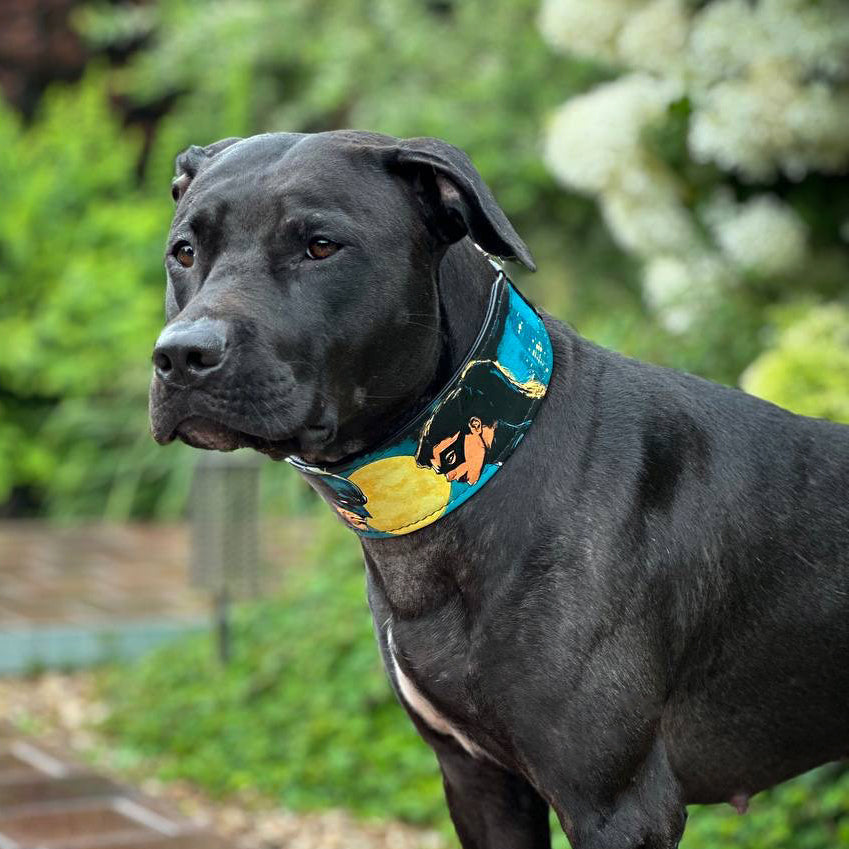 The BCW Limited Collar