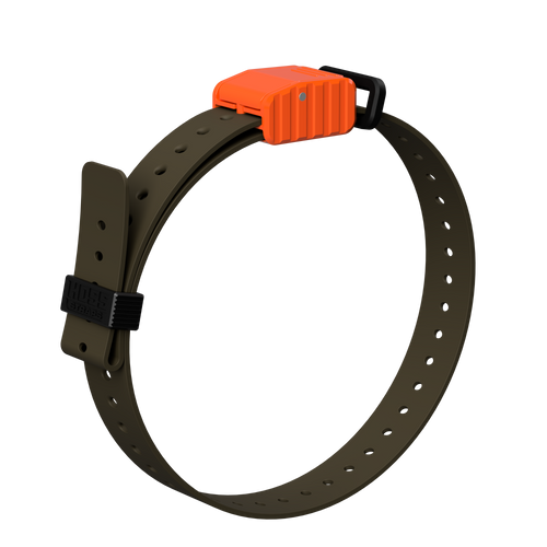 1" Replacement E-Collar Strap