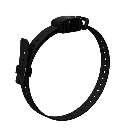 3/4" Replacement E-Collar Strap